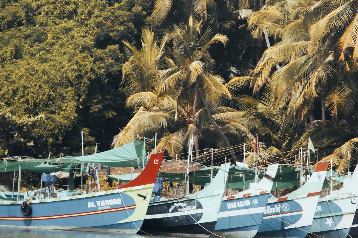 Traditional wooden fishing boats moored on a palm-lined backwater near Calicut, Kerala